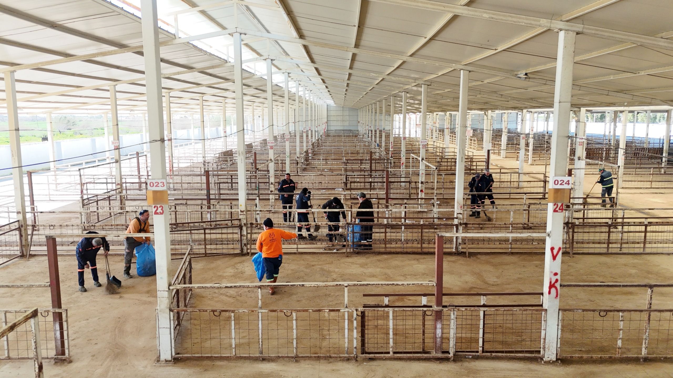 Hayvan pazarı 7 ay sonra yeniden açılıyor